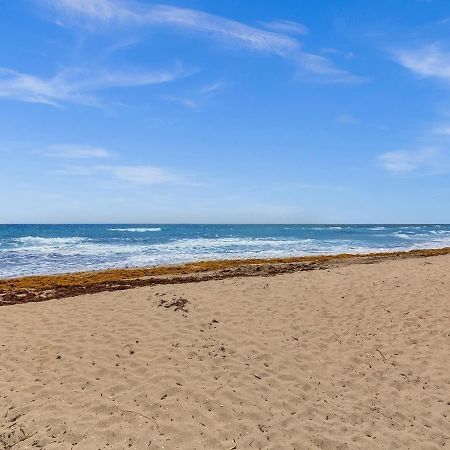 Dania Beach Christmas Getaway Gulfstream Art Bagian luar foto